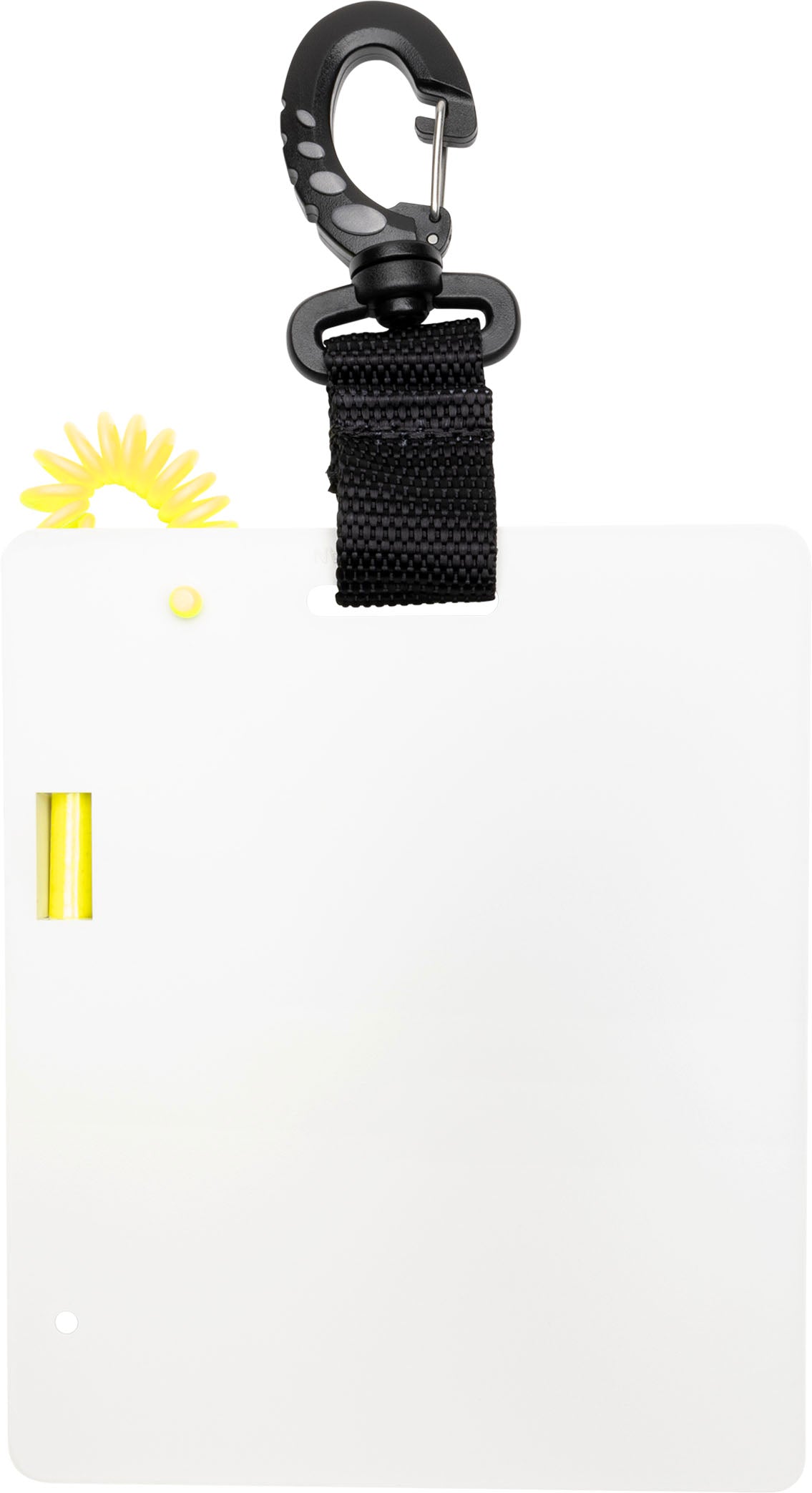 Lavagnetta subacquea