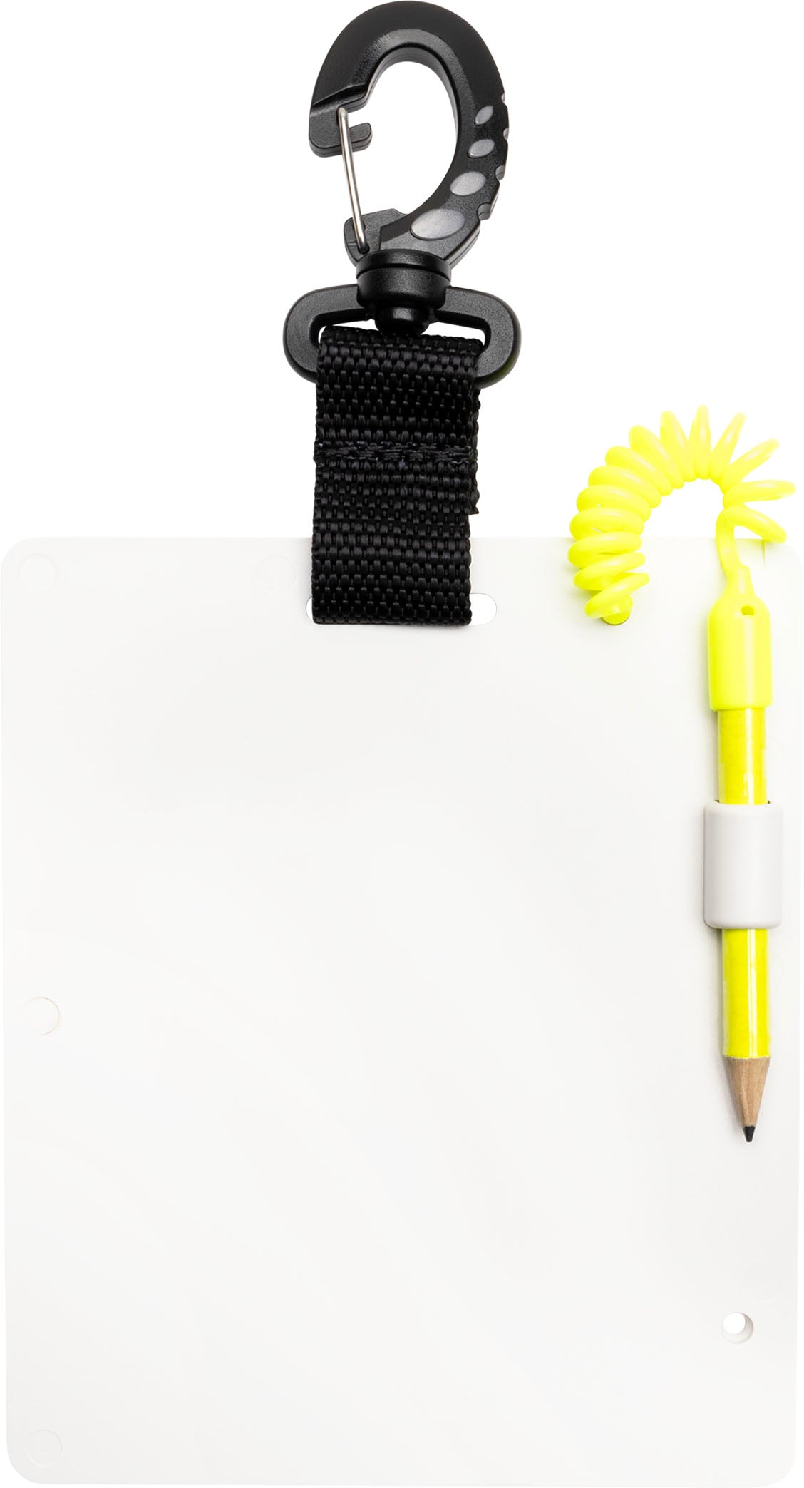 Lavagnetta subacquea