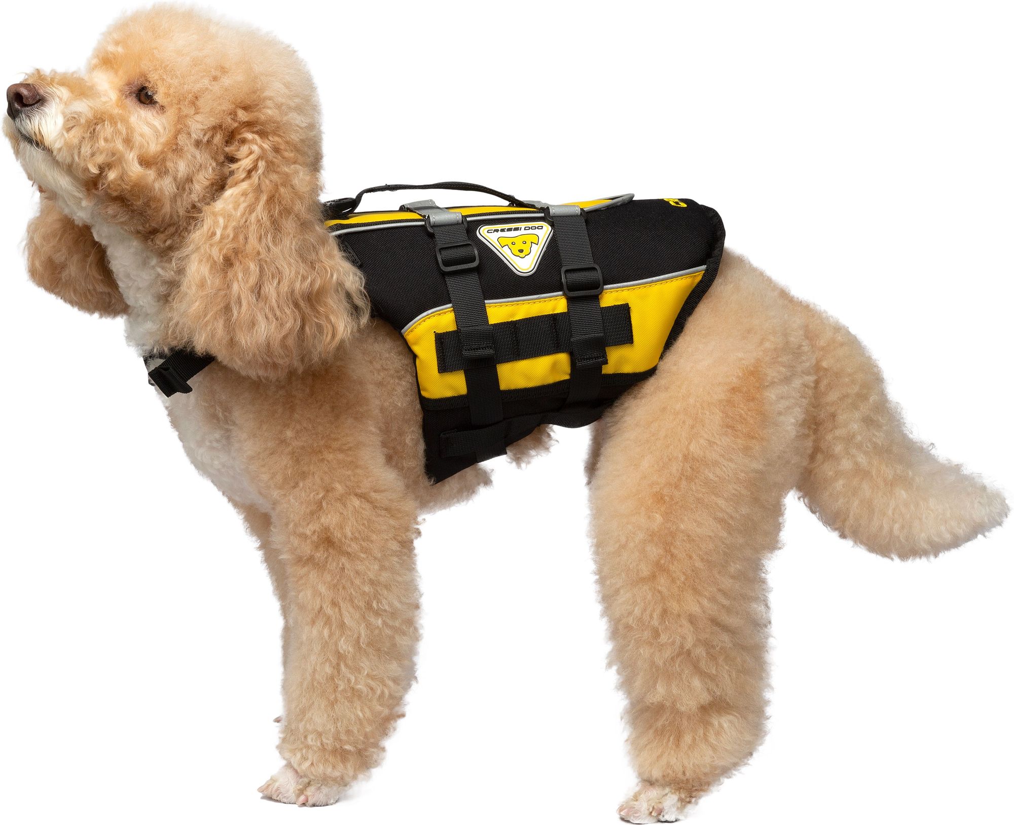 Cressi Dlj Dog Life Jacket spiaggia cane snorkeling & beach paddling cressi dog life jacket