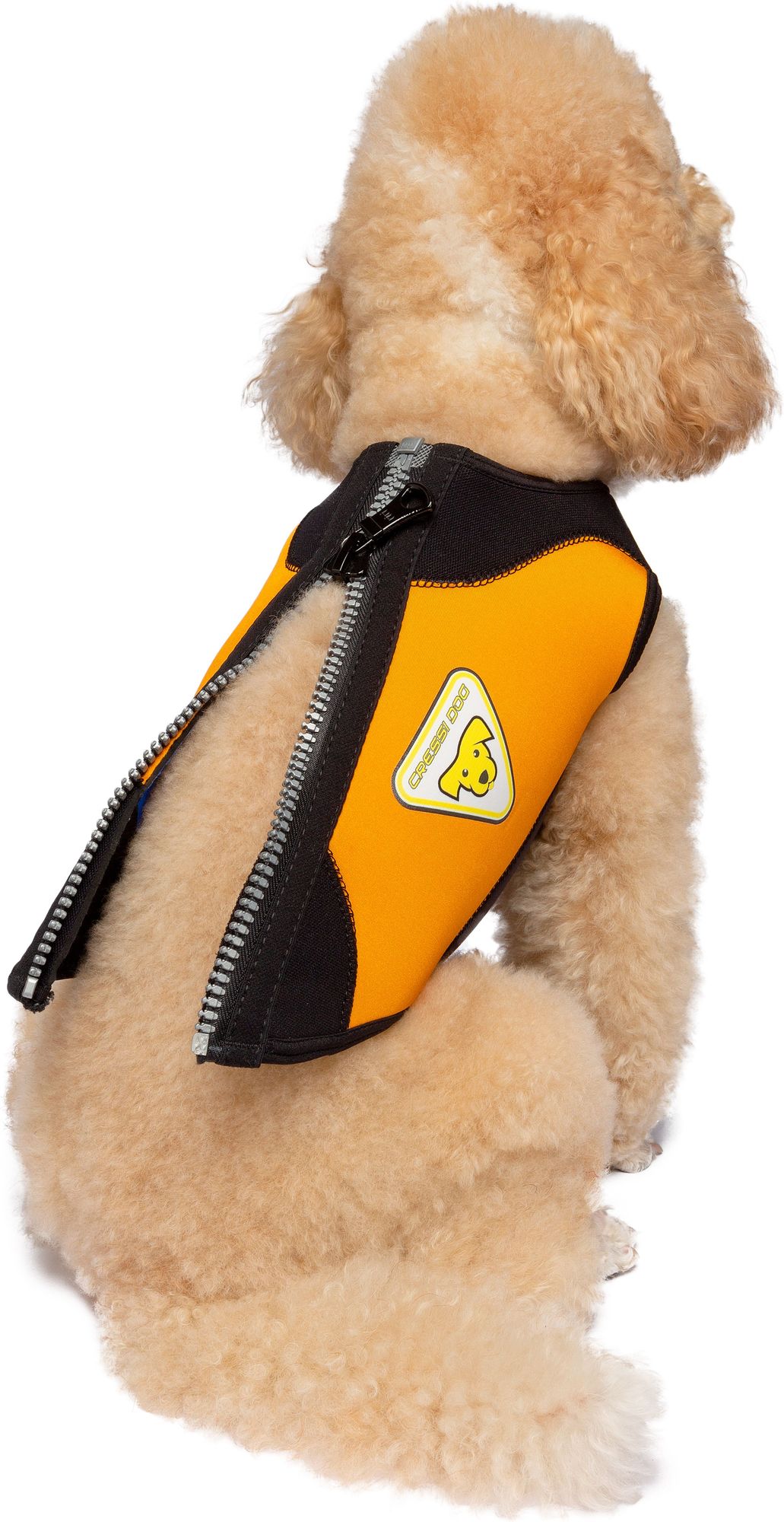 Cressi Dws Dog Wetsuit spiaggia cane snorkeling & beach paddling cressi dog wetsuit