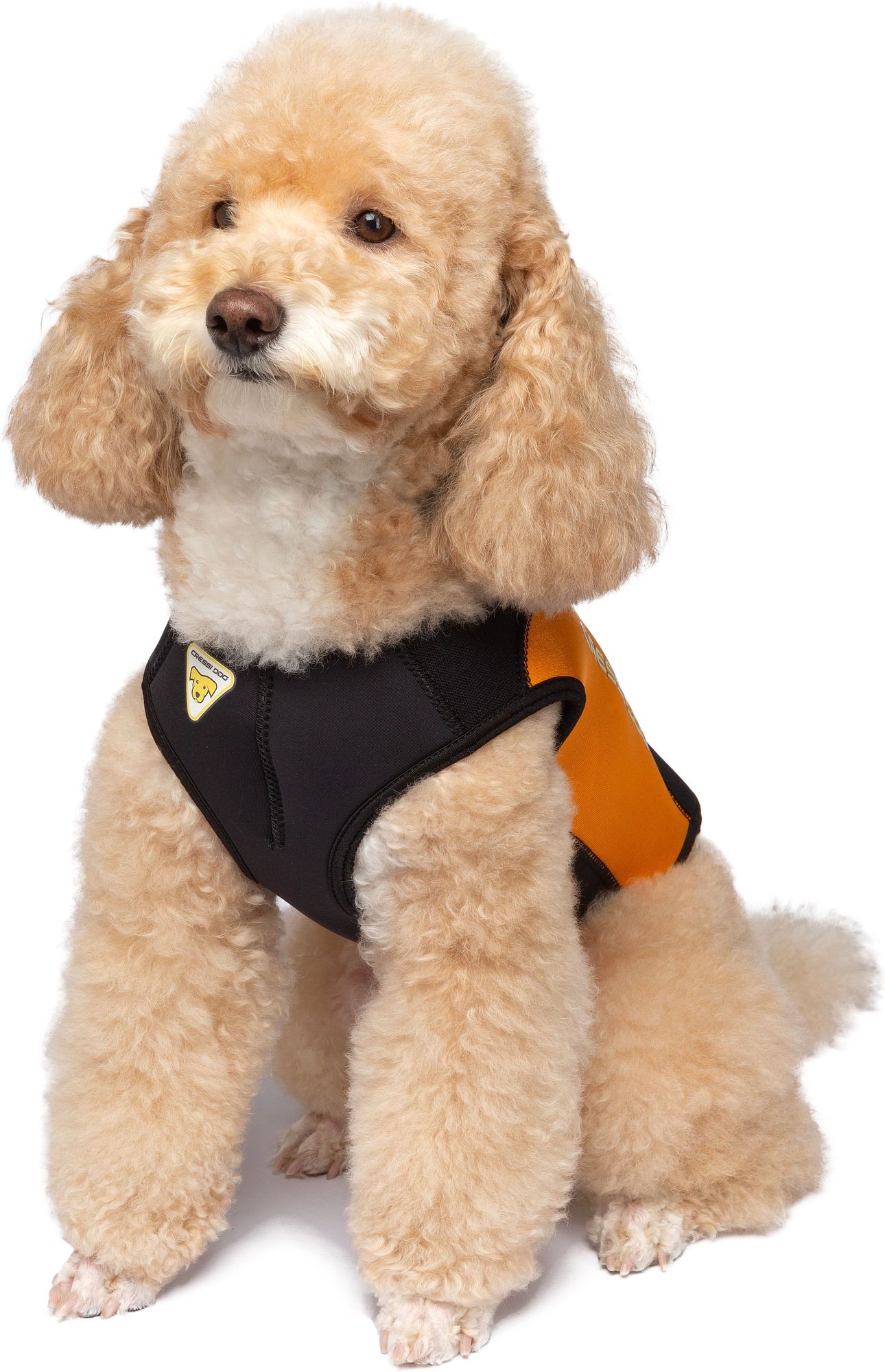Cressi Dws Dog Wetsuit spiaggia cane snorkeling & beach paddling cressi dog wetsuit