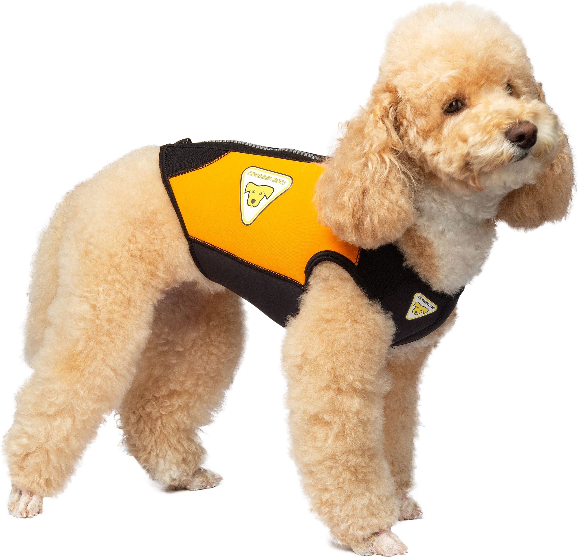 Cressi Dws Dog Wetsuit spiaggia cane snorkeling & beach paddling cressi dog wetsuit