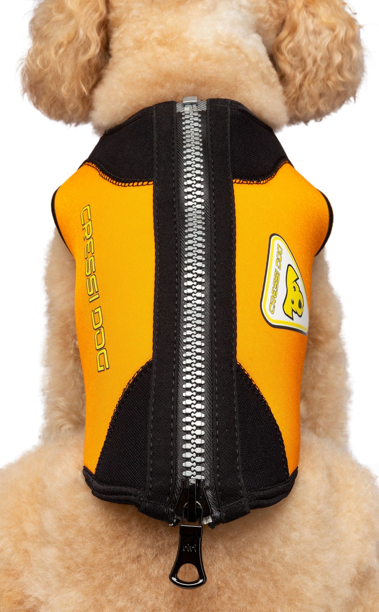 Cressi Dws Dog Wetsuit spiaggia cane snorkeling & beach paddling cressi dog wetsuit
