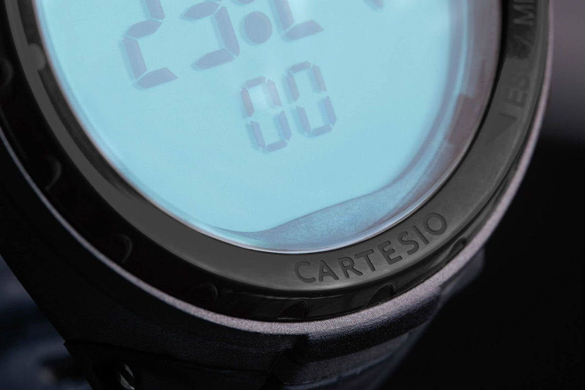 Cartesio Watch-style Computer