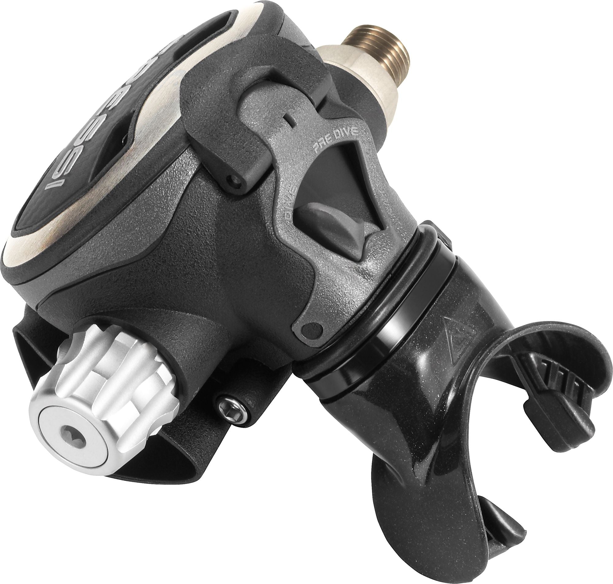 T10-SC Pvd + Master Regulator