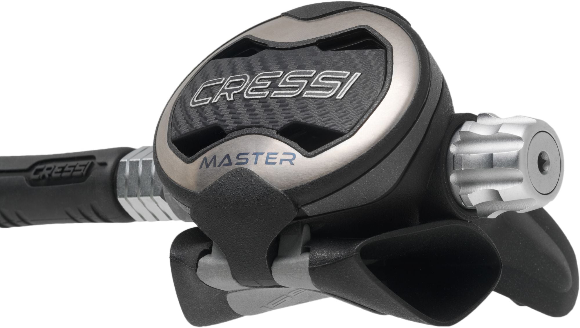T10-SC Pvd + Master Regulator
