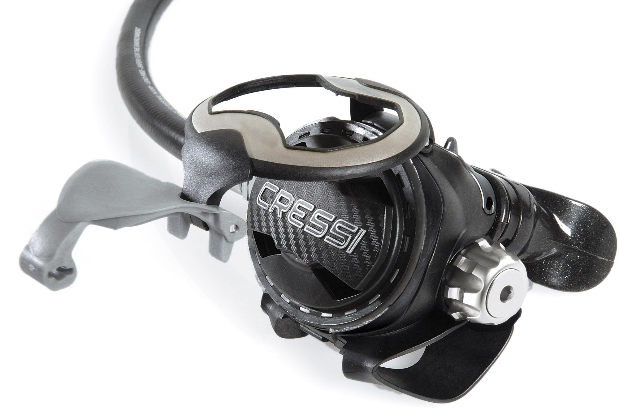 T10-SC Pvd + Master Regulator