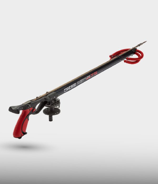 Spearfishing