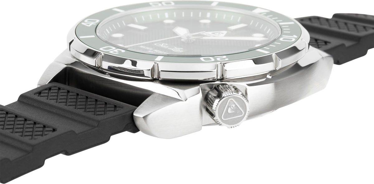Sea Lion Wrist Watch
