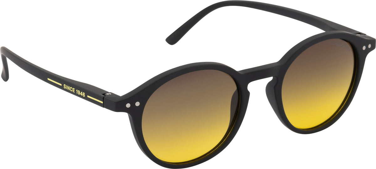 Glance Sunglass