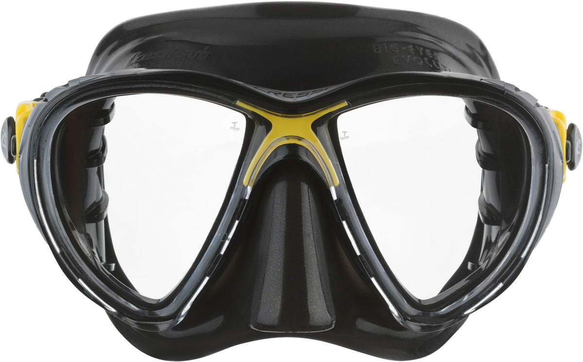 Big Eyes Evolution Classic Mask