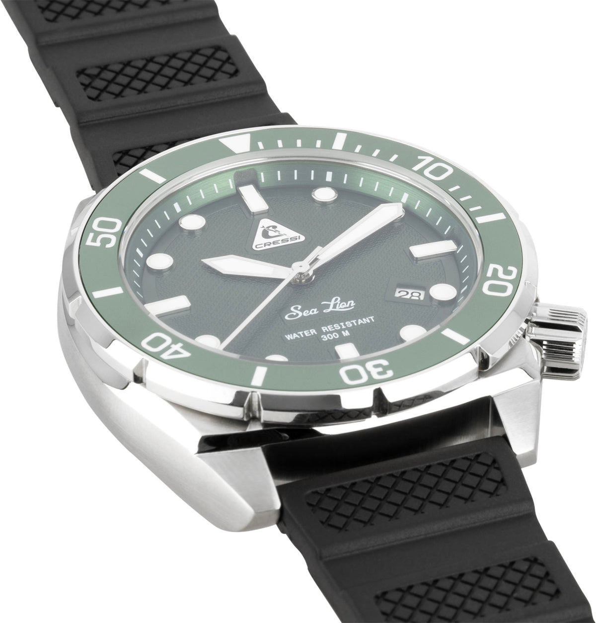 Sea Lion Wrist Watch
