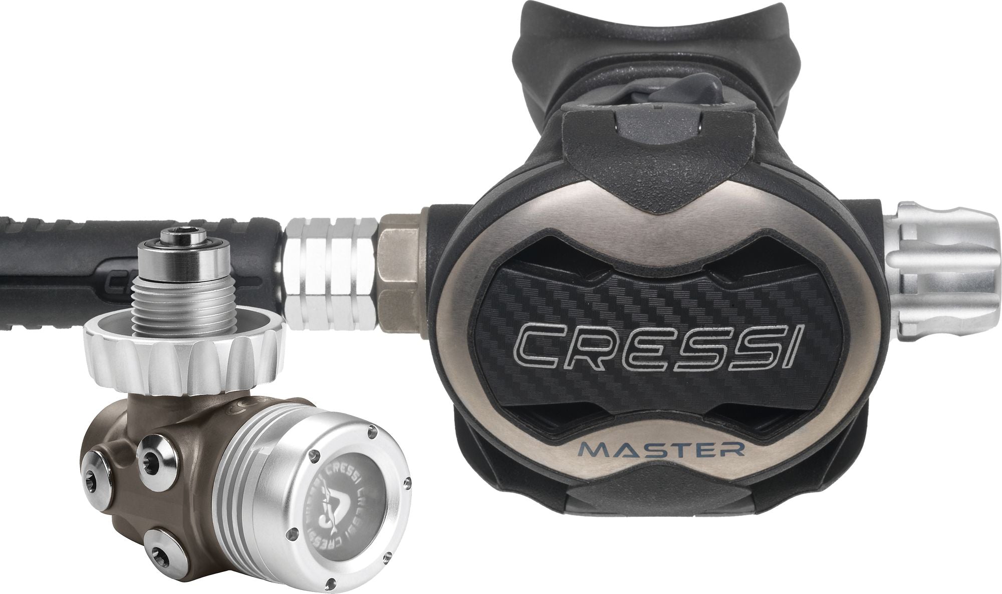 T10-SC Pvd + Master Regulator