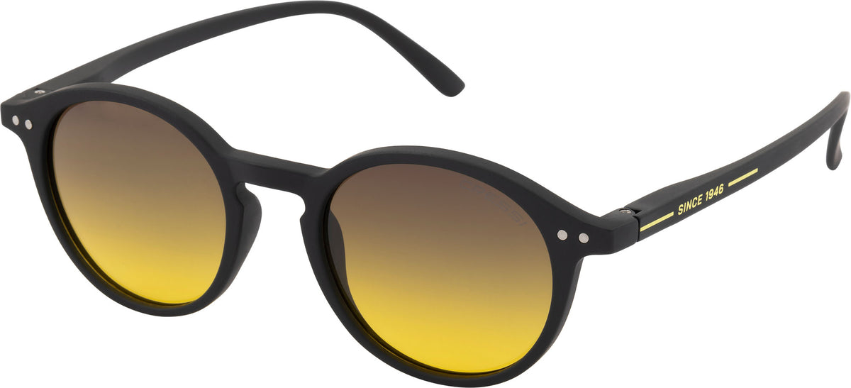 Glance Sunglass