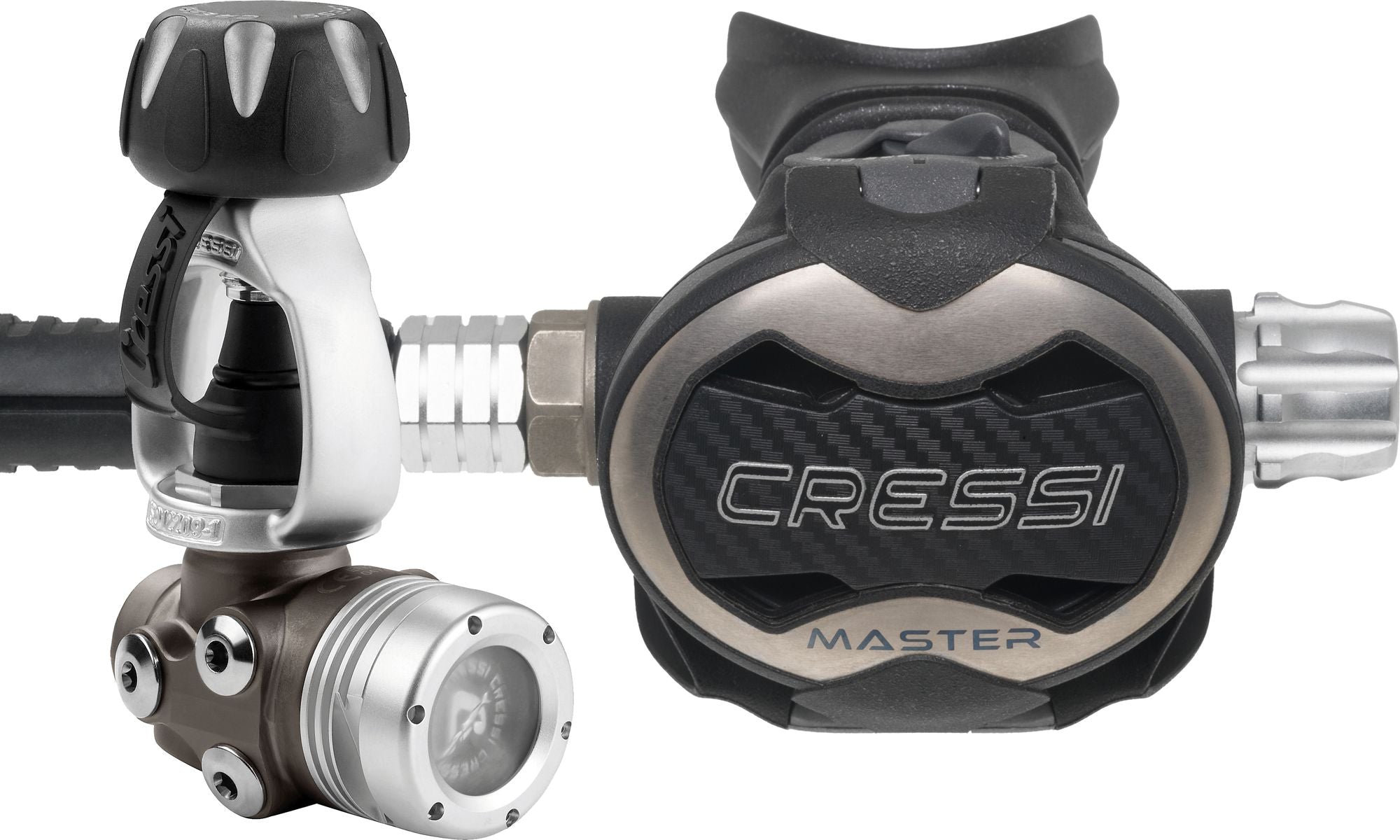 T10-SC Pvd + Master Regulator