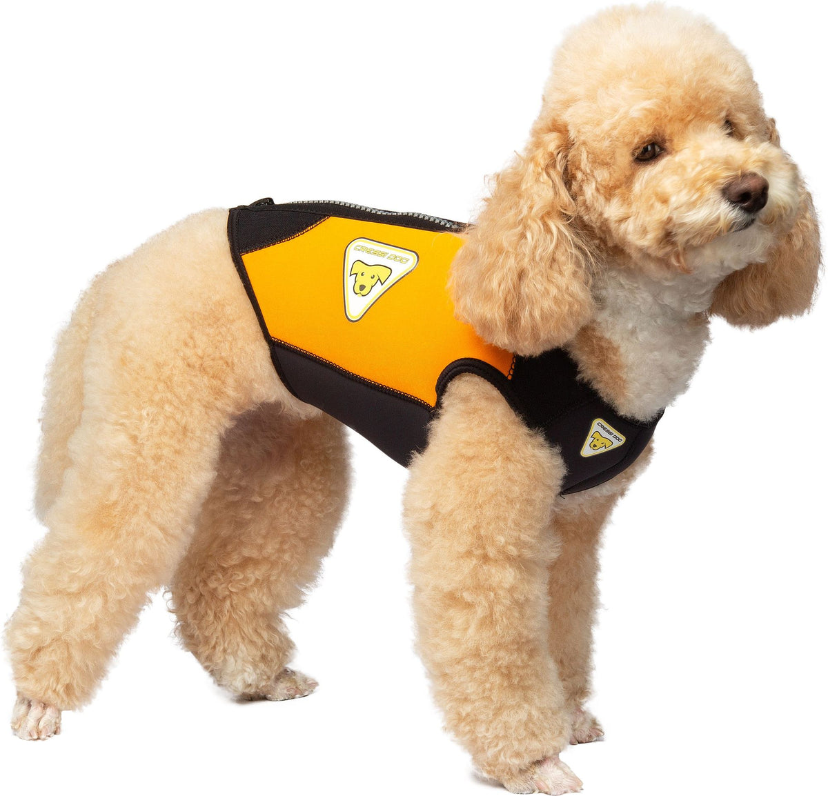 Cressi Dog Wetsuit
