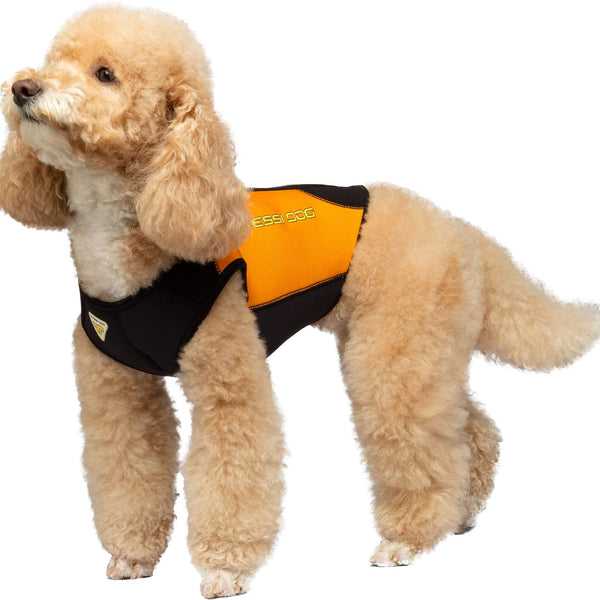 犬服・アクセサリー Inflatable Dog Wetsuit S Cressi_Dog_Dws_Wetsuit_6__WEB_